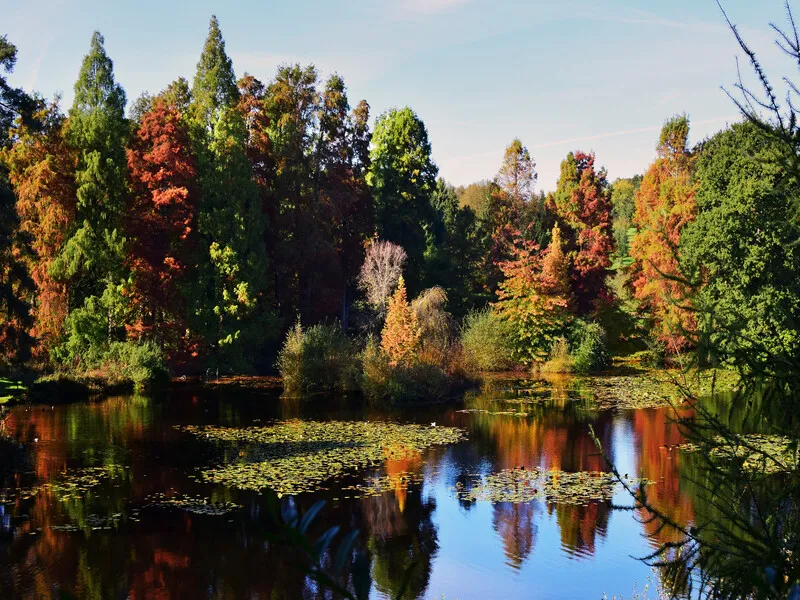 Bedgebury Pinetum